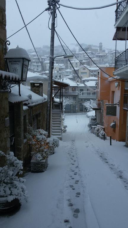 Alexandros Guesthouse Arachova Eksteriør billede