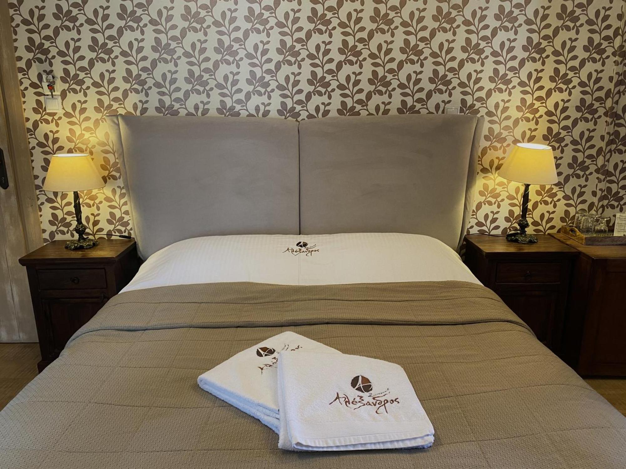 Alexandros Guesthouse Arachova Eksteriør billede
